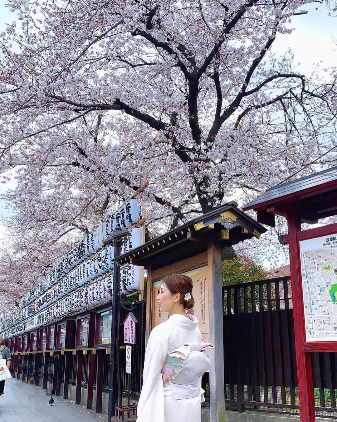 宮田綾子さんのインスタグラム写真 - (宮田綾子Instagram)「⁑ 3月下旬 浅草寺🏮 桜5分咲きの頃🌸 . Let me share my picture with #kimono , traditional Japanese clothes in #asakusa temple.  I took this weeks ago just before the state of emergency declaration for COVID19. Cherry trees were about to go full bloom. Since then I’m keeping #stayathome mission to save lives!! . 让我与 #asakusa 寺庙中的 #kimono 和日本传统服装分享我的照片。 我在这几周前就在COVID19紧急声明状态之前拍摄了这张照片。 樱桃树即将盛开。 从那时起，我一直保持#stayathome 的使命，以挽救生命！！ . #열차의 기모노 #kimono 과 사진을 공유 할 수 있습니다. 나는이 몇 주 전에 COVID19 비상 사태 선언의 직전에 착용했습니다. 벚꽃이 곧 개화 보았다. 그 이후 나는 #stayathome 의 사명을 보호하고 생명을 구하고 있습니다!  #tb #桜 #さくら #cherryblossom #浅草寺 #浅草 #過去pic #asakusa #asakusatemple #asakusatokyo #宮田綾子 #着物 #着物コーディネート #japanesekimono #kimonostyle #kimonofashion #和装 #レンタル着物 #temple #tokyo #lifeinjapan #genic_japan  #wonderful_places #tokyojapan #stayhome #家にいよう #おうち時間」4月21日 8時07分 - ayako__miyata