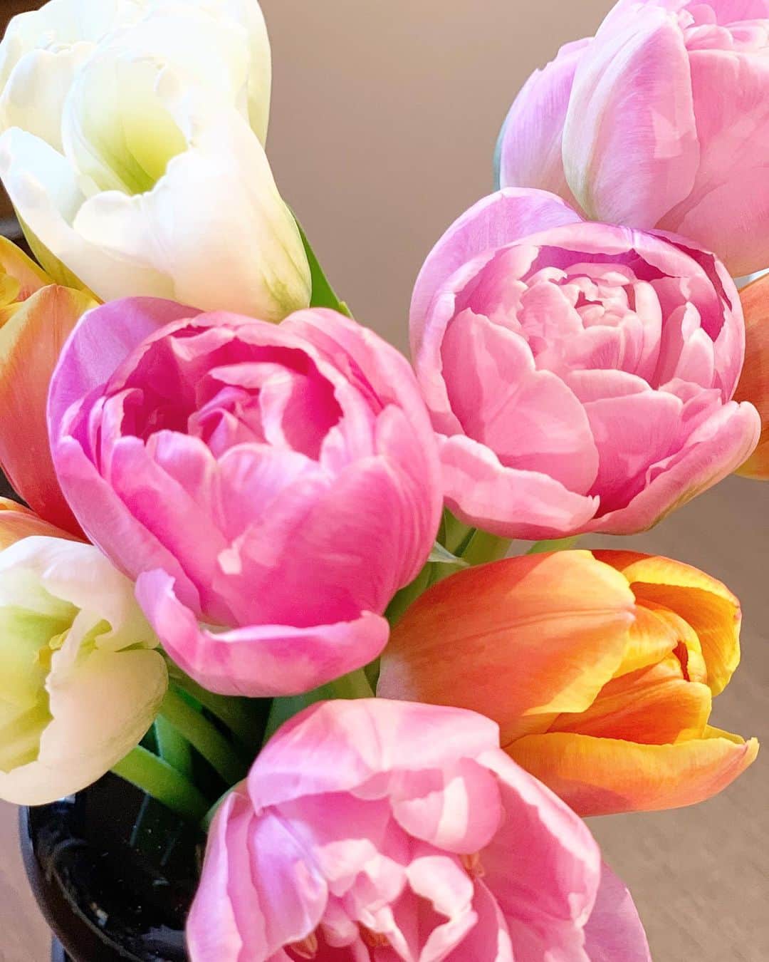 鈴木優美 さんのインスタグラム写真 - (鈴木優美 Instagram)「週末買い出しをしていて目をひいたチューリップ🌷 三色の色合いが可愛くてお持ち帰り。 見るたび元気と癒しをくれる✨ 今日も一日頑張るぞー💓 . . . . . #チューリップ #flowers #🌷」4月21日 8時54分 - yumi_kakiuchi
