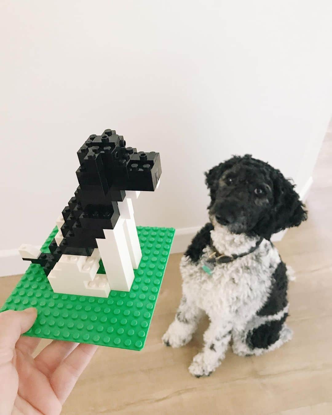 Robin May Flemingのインスタグラム：「Taken up any new quarantine hobbies? Matt's been getting into the Lego.」