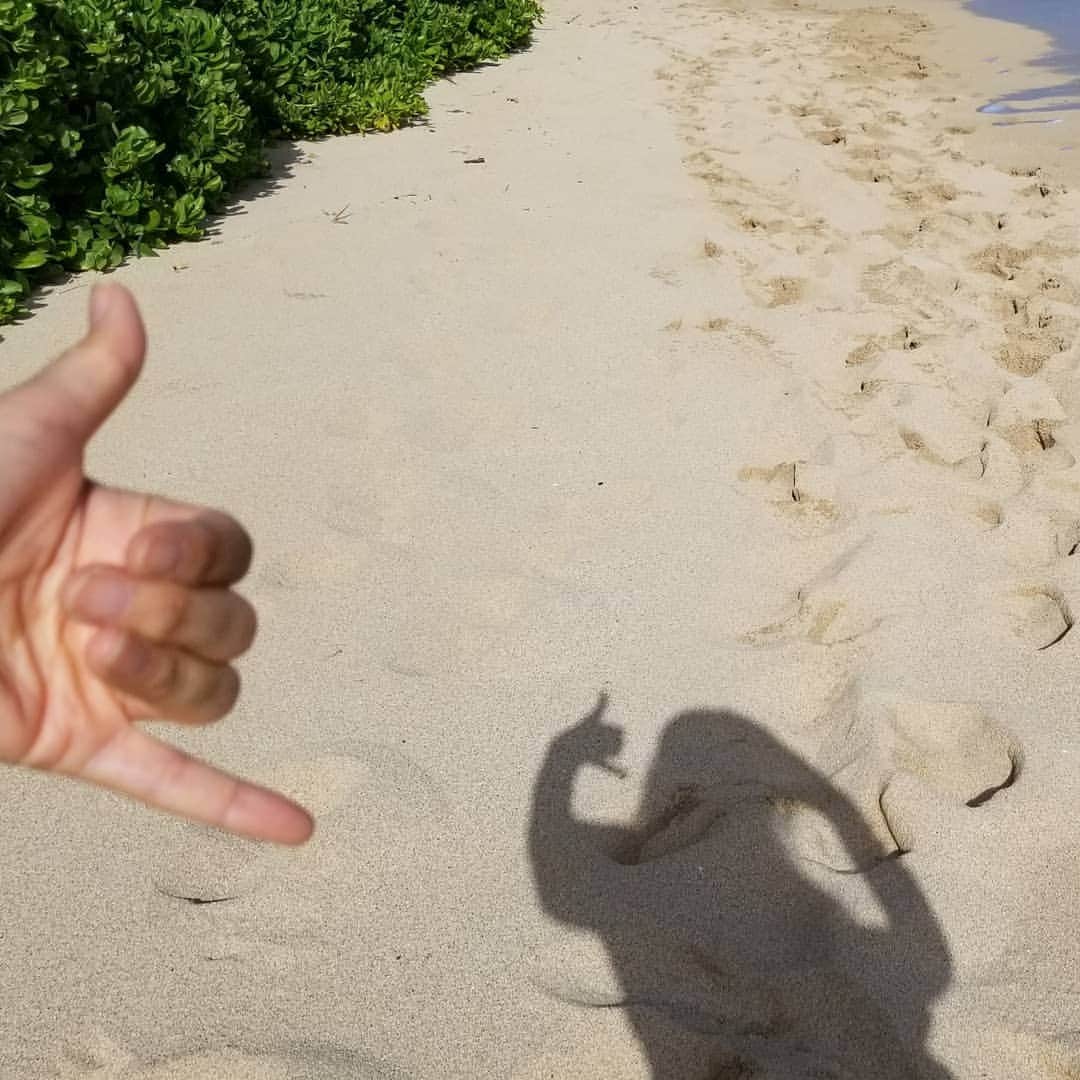 瀬川慶のインスタグラム：「No hugs, Yes Shaka! 　ハグの代わりにシャカ!  #aloha #hawaii  #shakasign #stayhome #covid19hawaii #beach #lovehawaii #proudlocals #socialdistancing #ハワイ　#アロハ　#ステイホーム 　#ビーチ　#コロナに負けるな #シャカサイン #心でハグ #一緒に頑張ろうね #自主隔離義務」