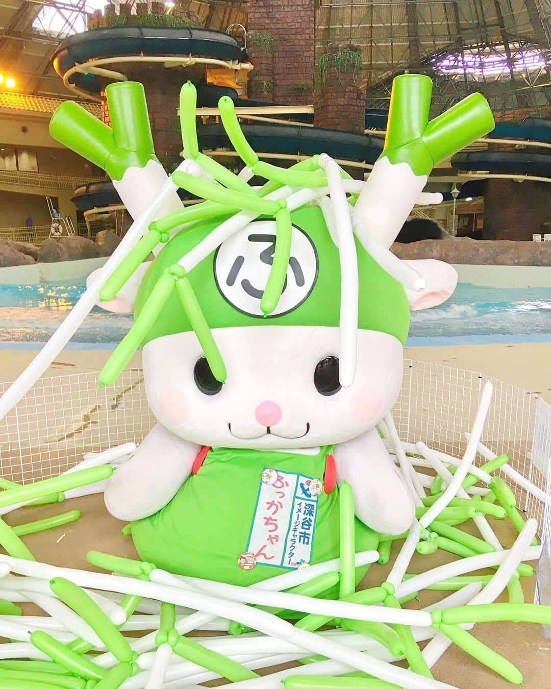 ふっかちゃんさんのインスタグラム写真 - (ふっかちゃんInstagram)「【インスタ限定公開】 にょお〜！おねぎの風船かわゆすだねぇY(o0ω0o)Y🎈いっぱいあるから遊んじゃうよぉY(o☆ω☆o)Yにゃは！  #ふっかちゃん #深谷ねぎ #深谷市 #おねぎ風船 #バルーンアート #テンションあがる #かわゆす #調子に乗って #遊んだら #こうなった #ちょっと反省 #でもまた遊んじゃう #わかっているけど #繰り返すタイプ #それがふっかちゃん Y(o0ω0o)Y」4月21日 11時14分 - fukkachan628