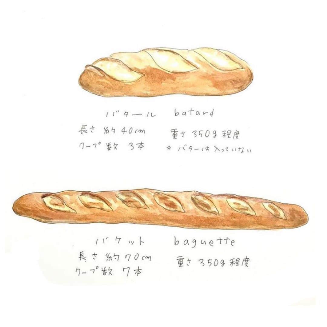 ハルペイさんのインスタグラム写真 - (ハルペイInstagram)「🥖 どうしてもフランスパン食べたくて、作り方みたけど、わたしには😞💦 . 久しぶりにパン屋さんまで行って😷😷😷 . はー❤️❤️❤️❤️ パリパリ✨ 久しぶりのハードパン🥖 なんて美味しいんだ😂❤️ バケットのほう買ったよ！ . #美味しかった #しあわせ #パン屋さんありがとう #フランスパン#バケット#バタール #baguette  #パンが好き #ランチ . #食べ物イラスト #食べる楽しみ . #harupei#ハルペイ#doodle#draw#drawing#illustrator#illustration#japan#絵#雑貨#湘南#イラスト#イラストレーター#ゆるい#茅ヶ崎」4月21日 12時56分 - harupeipei