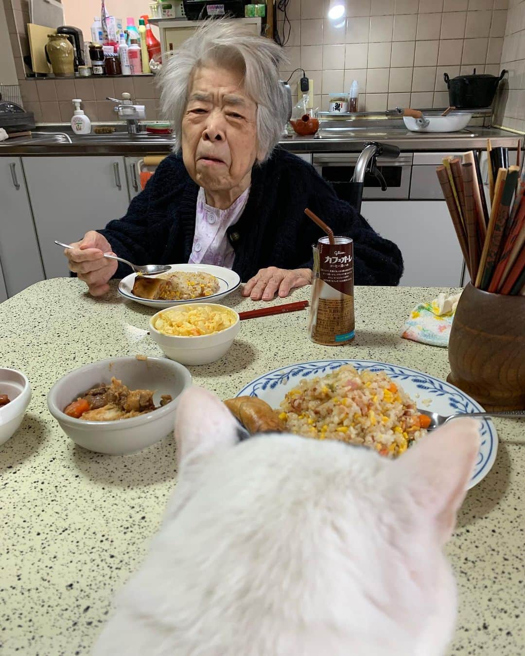 Kachimo Yoshimatsuのインスタグラム