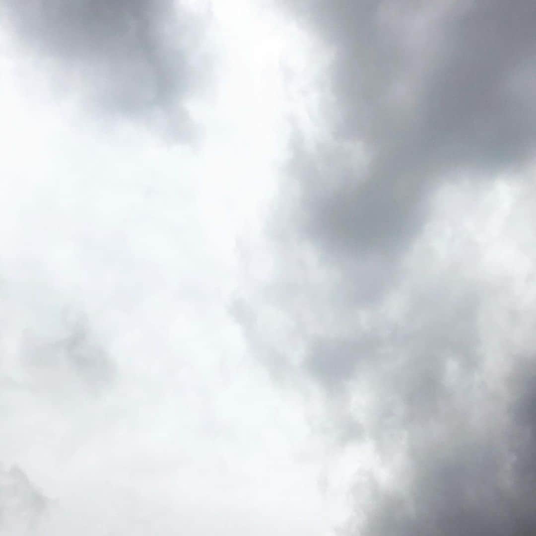 桜井誠さんのインスタグラム写真 - (桜井誠Instagram)「今年もこの空を見上げる。 去年とは全く違う空。日常。全てが変わってしまったけれど、それでも前を向いて頑張るよ。見守っててね。 🟦🟥」4月21日 13時32分 - m_sakurai_da