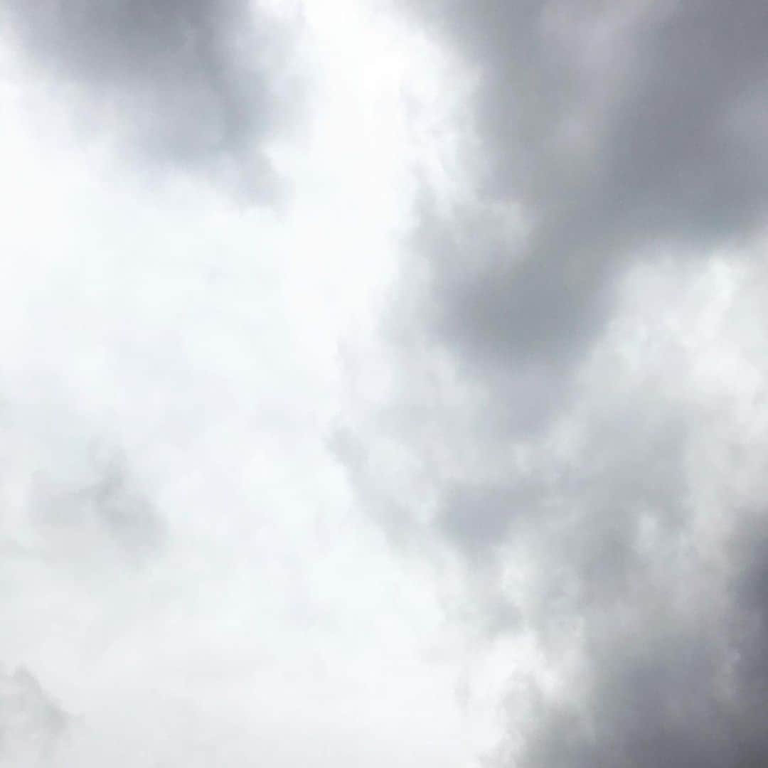 桜井誠のインスタグラム：「今年もこの空を見上げる。 去年とは全く違う空。日常。全てが変わってしまったけれど、それでも前を向いて頑張るよ。見守っててね。 🟦🟥」