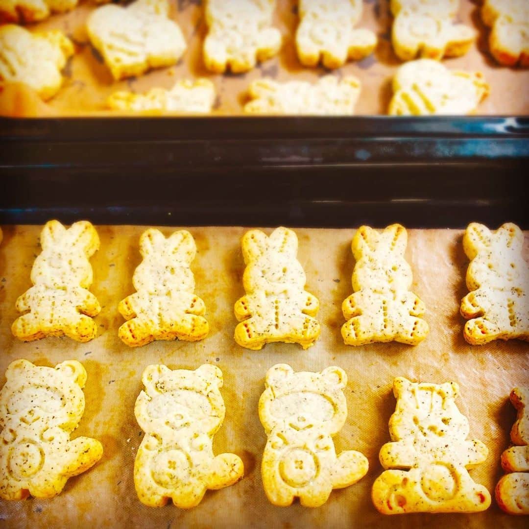 森崎友紀さんのインスタグラム写真 - (森崎友紀Instagram)「#森崎友紀#クッキー#料理#cooking#手作り#差し入れ#ポリ袋#モミモミ#クッキー生地#動物型#紅茶クッキー#型抜き#ミツバチ#リス#ウサギ#タヌキ  ポリ袋でモミモミしたクッキー生地は、 動物型で抜いて紅茶動物クッキーにしました（＾_＾） 子供達が喜ぶので型抜きすることが多くなりました。  ミツバチ、リス、ウサギ、タヌキの4種。  2人とも大喜びでした(*´∀｀*)」4月21日 14時37分 - morisakitchen
