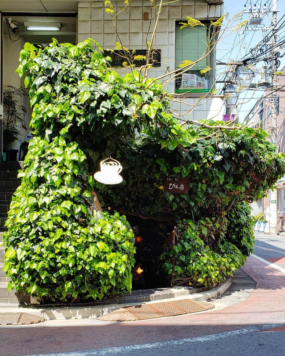 CAFE-STAGRAMMERさんのインスタグラム写真 - (CAFE-STAGRAMMERInstagram)「I feel like going for drinking coffee, but I can't right now. 扉を開ければ、きっとそこには♪ #西荻窪 #喫茶店 #カフェ #☕ #cafe #kissaten #nishiogikubo #tokyocafe #cafetyo #西荻窪カフェ #東京喫茶店 #びあん香」4月22日 0時07分 - cafetyo