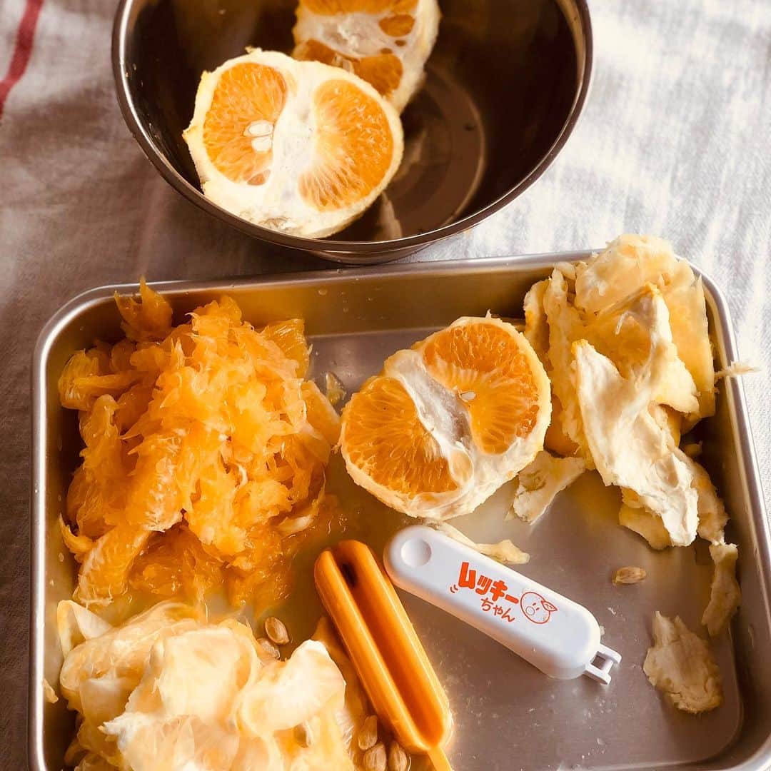 長尾悦美さんのインスタグラム写真 - (長尾悦美Instagram)「引っ越し祝いだよ。って優しい　@kouta5858 くんが送ってくれた #無茶茶園 の柑橘セット🍊🍋 果汁たっぷりでそのまま食べてももちろん美味しいのだけど、ゆっくりできる今なので甘夏ジャムを作りました。  とても美味しくできて自分でも驚いてるのだけど、全ては無農薬の甘夏のおかげだね🧡  また作りたいな。  #無茶茶園  #ムッキーちゃん  #ムッキーちゃんは柔らかい甘夏には不向きな様です😅 #酵素シロップ作りは4日目なのにまだシュワシュワしないよ🤔 #stayhome」4月22日 0時28分 - yoshiminagao