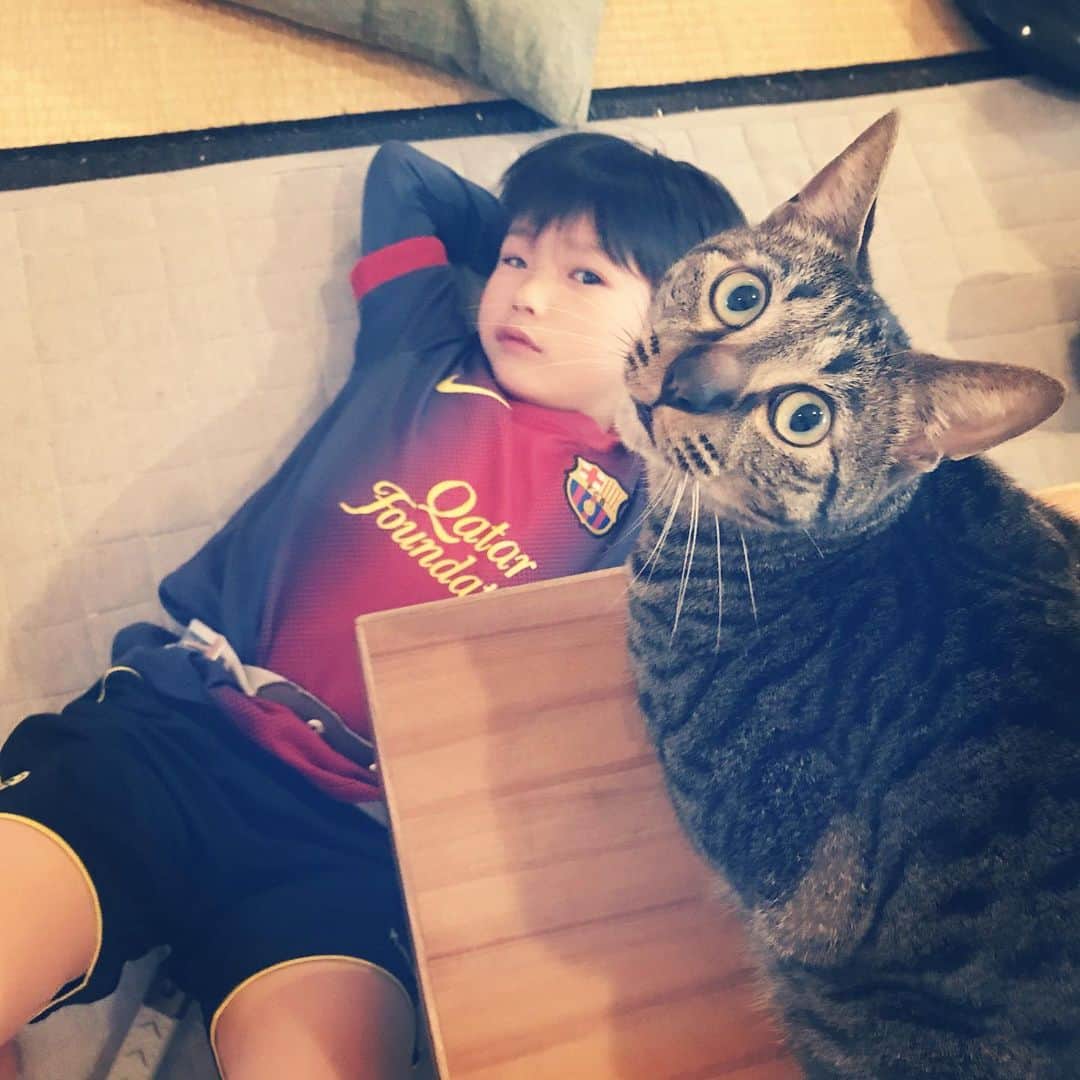 のインスタグラム：「この休み期間、晃志郎は猫のゴハン係になりました。 それを分かってか、机の上から晃志郎の動向をうかがうドリルでした。  この自粛期間、なにか有意義な時間になるようにとあれこれ家の中でできることを考えるけど、 学校があって、サッカーがあって、人とのかかわりがある中で自分を見つめ直し、成長していくんだと強く思ってしまいます。 早く友達と会いたいねぇ。  ただ、反抗期に入っていた長男、家族一緒の時間をたくさん過ごす中で、距離がまた戻ってきたことはよかったな。 今のうちにたくさん会話を楽しんでおこう！」