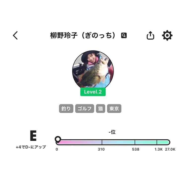 柳野玲子のインスタグラム：「第一回の動画配信、楽しかった〜☺️💞 皆さんのおかげで40分も配信しており、レベルアップしました〜✨ リクエストにお応えして、明日は21時頃〜お酒をオトモにパジャマで配信予定です(*´꒳`*)笑 「ポコチャ」というアプリでご覧ください✨ みんなで飲みましょ😊🍻 #動画配信 #アプリ #ポコチャ #猫 #チンチラシルバー」