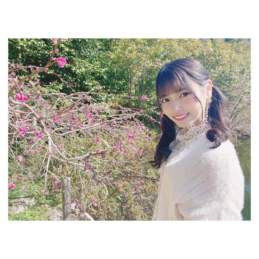 岩田陽菜さんのインスタグラム写真 - (岩田陽菜Instagram)「さぁて、この岩田陽菜とお花のシリーズいつまで続くのですかね〜☺️💐﻿ ﻿ まぁあと3つぐらいですよ〜（写真の撮りすぎ）﻿ ﻿ #梅#梅の花﻿ #広島エアポートホテル#広島庭園#日本庭園#庭園#三景園##フォレストヒルズガーデン#広島#広島観光#foresthillsgarden#広島空港#コテージ#和食#春#spring#outer#niceclaup#ワンピース#marieebouquetde#ヘアアレンジ#巻き髪#ツインテール#イヤリング#白ワンピ」4月21日 17時41分 - hina_naso_stu48