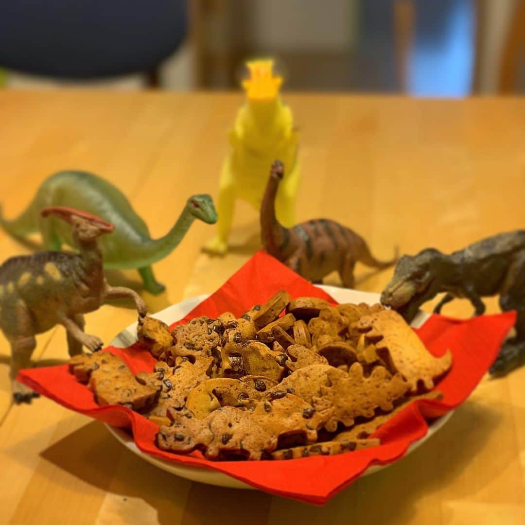 藪木健太郎のインスタグラム：「テレビ会議の後 息子と恐竜の形のクッキーを焼く。 写真をとる間、 「早く食べさせろ」 「僕の恐竜を勝手に使うな」 と文句の嵐。 美味しそうに食べたからいいけど(^^)」