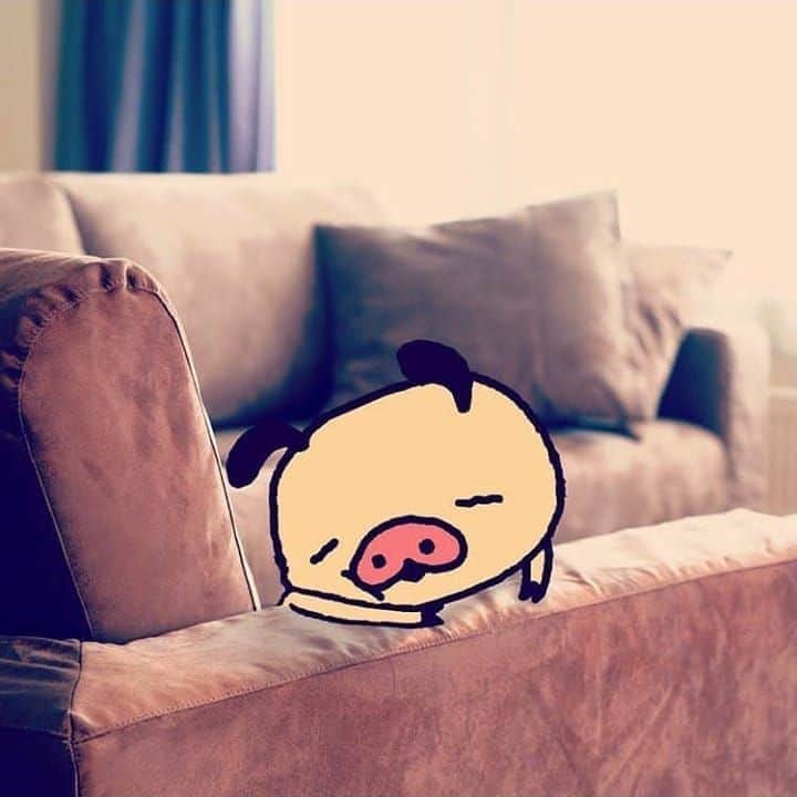 パンパカパンツ公式のインスタグラム