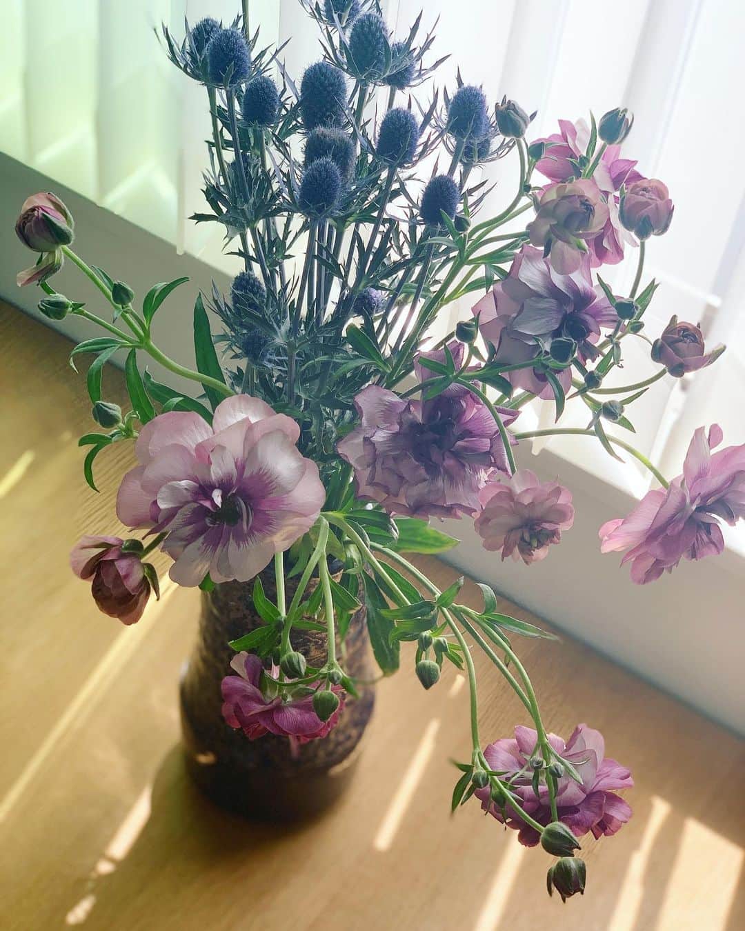 のインスタグラム：「Healing and inspiring  #flower」