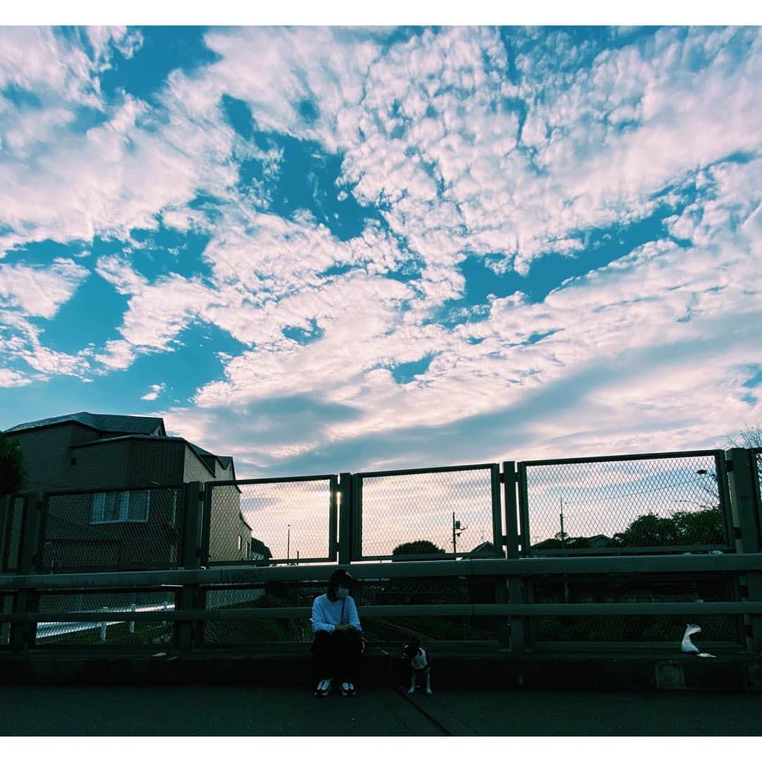 大瀧彩乃さんのインスタグラム写真 - (大瀧彩乃Instagram)「・ 最近は夕陽のちょうどいい時間にゴマ散歩🐕 元気が良すぎるから常に両手は空けておきたい。 でも可愛い瞬間も撮りたい📸 なので久しぶりに斜め掛けタイプの携帯ストラップを台湾のスタイリスト友達　@asanogonza に私のイメージでお任せで作ってもらいました🧿  ビーズやヒモ、チェーンなどなどいろんな素材で作っています。  人にお任せした時の自分のイメージって自分で思っているのと違うから面白い‼︎ ・  謝謝社長帶了手機鏈📱 我很喜歡！！ ・  #ごま散歩 #アンパンマン連れて #EDIFICE #CDG #NIKE #大瀧の服」4月21日 18時50分 - _ayanootaki_
