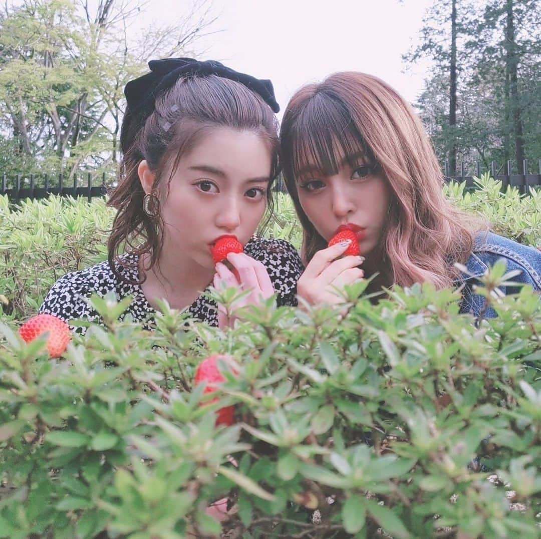 Popteenさんのインスタグラム写真 - (PopteenInstagram)「いちご狩り中のちゃんえなとれいぽよ🍓2人のカバンの中身から私服まで6月号でチェックできるよ〜😆🎶 #popteen#ポップティーン#モデル#中野恵那#ちゃんえな#土屋怜菜#れいぽよ#オフショット」4月21日 18時42分 - popteen_official