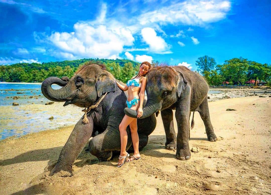 NAHOさんのインスタグラム写真 - (NAHOInstagram)「🐘💙🐘 . . この子達元気かなあ？🐘💕 いっぱいくっついてきて可愛かったなあ🥺💋 . . .  #cjd_naho #cyberjapan #dancer #phuket #phuketthailand #trip #travel #beach #elephant #elephantbeach #japanesegirl #beautifulsky #nature #サイバージャパン #なち #なちぽん #NAHO #旅行 #なち旅 #自然 #動物 #海 #ビーチ #ビキニ #プーケット #タイ #象さん #綺麗な空 #naturephotography #photography」4月21日 19時19分 - naho25__kai_noa
