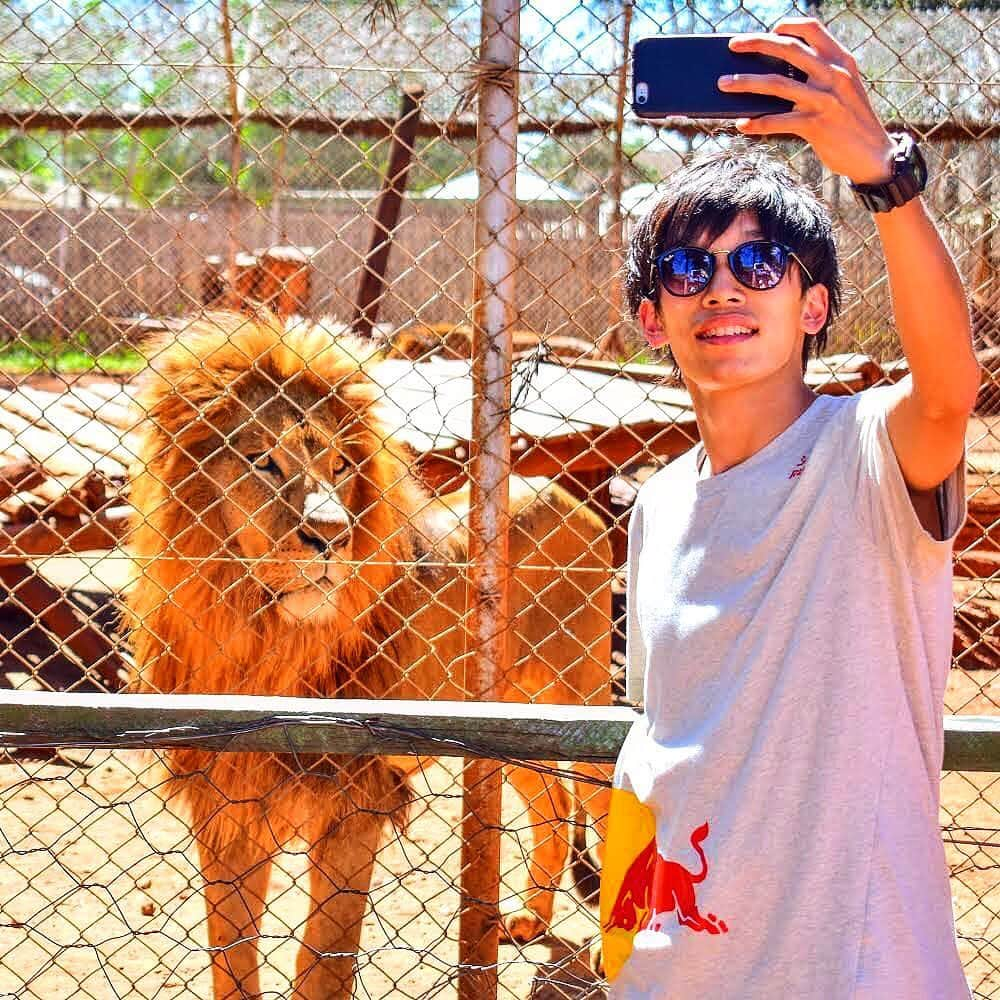 徳田耕太郎のインスタグラム：「I miss traveling life😭✈️🦁🏝🏰 I hope everything get back to normal ASAP... 1日も早く元の生活に戻れますように🙏」