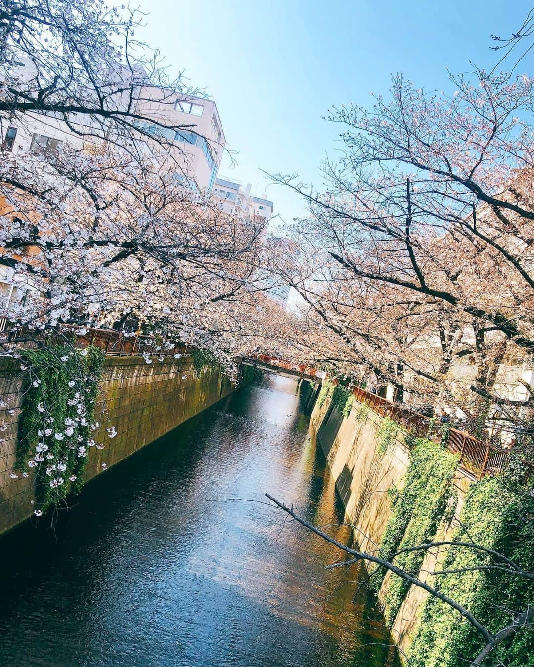 山岡美穂さんのインスタグラム写真 - (山岡美穂Instagram)「出会えて大きく変われた分、 別れは寂しい。 でも、これも新しい始まり。 大感謝。 そしてこれからも頑張り続けます。 よろしくお願いいたします。」4月21日 20時36分 - miho_yamaoka