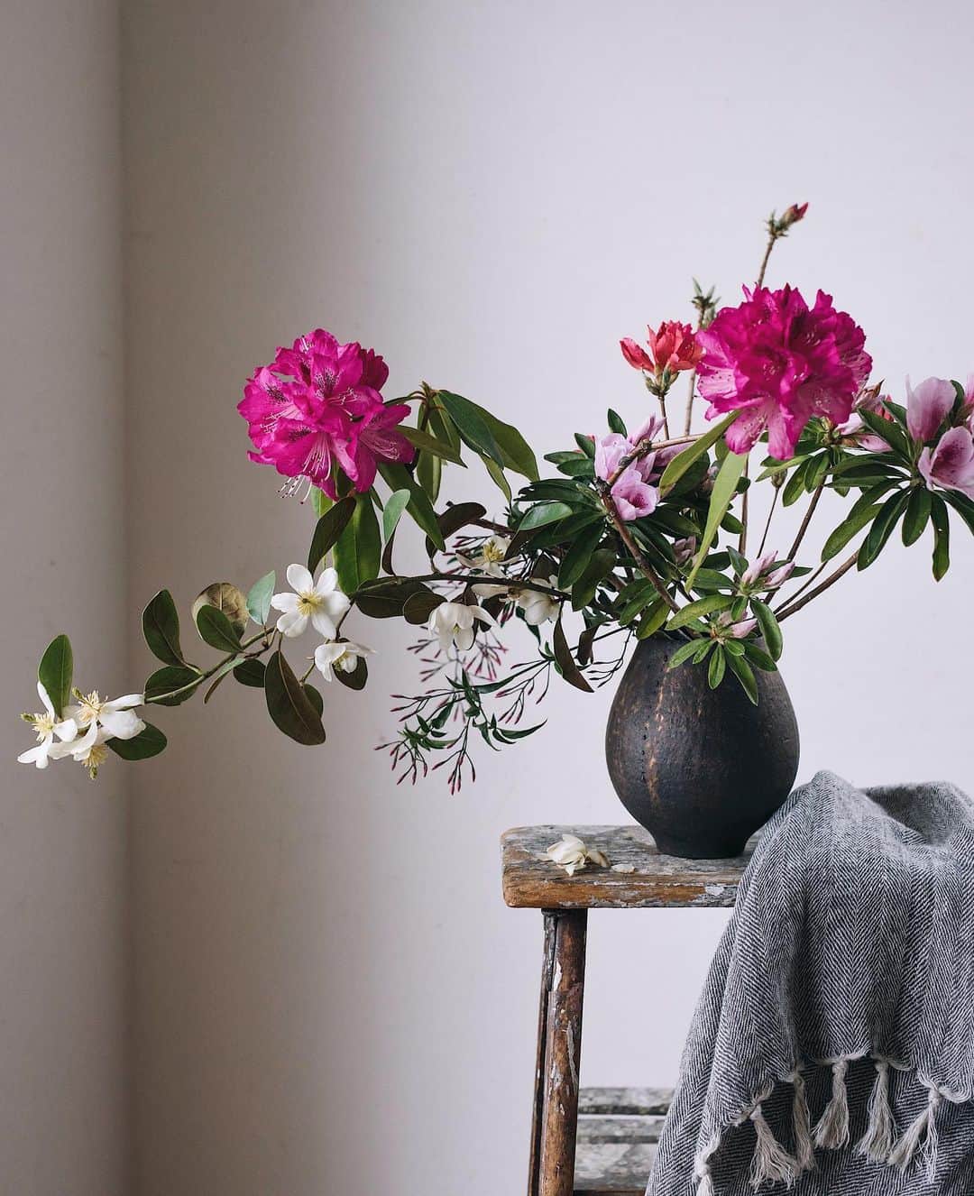 増田由希子さんのインスタグラム写真 - (増田由希子Instagram)「Rhododendrons and michelia🌺 #flowerscent  #rhododendron #michelia #magnolia シャクナゲが見頃ですね。 #シャクナゲ　#ウンナンオガタマ　#旬の花」4月21日 22時10分 - nonihana_