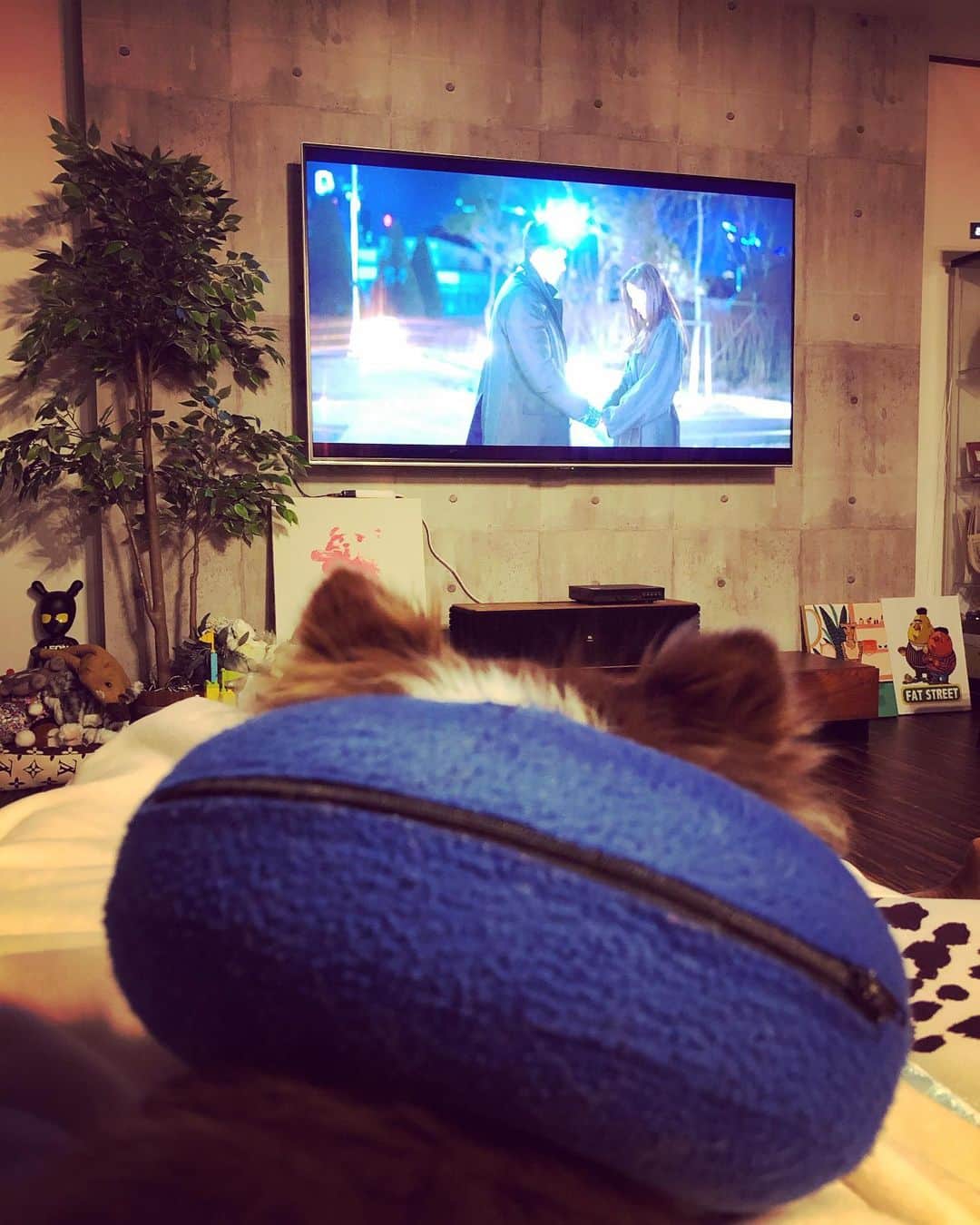 木村真野のインスタグラム：「#netflix #愛の不時着　#最高」