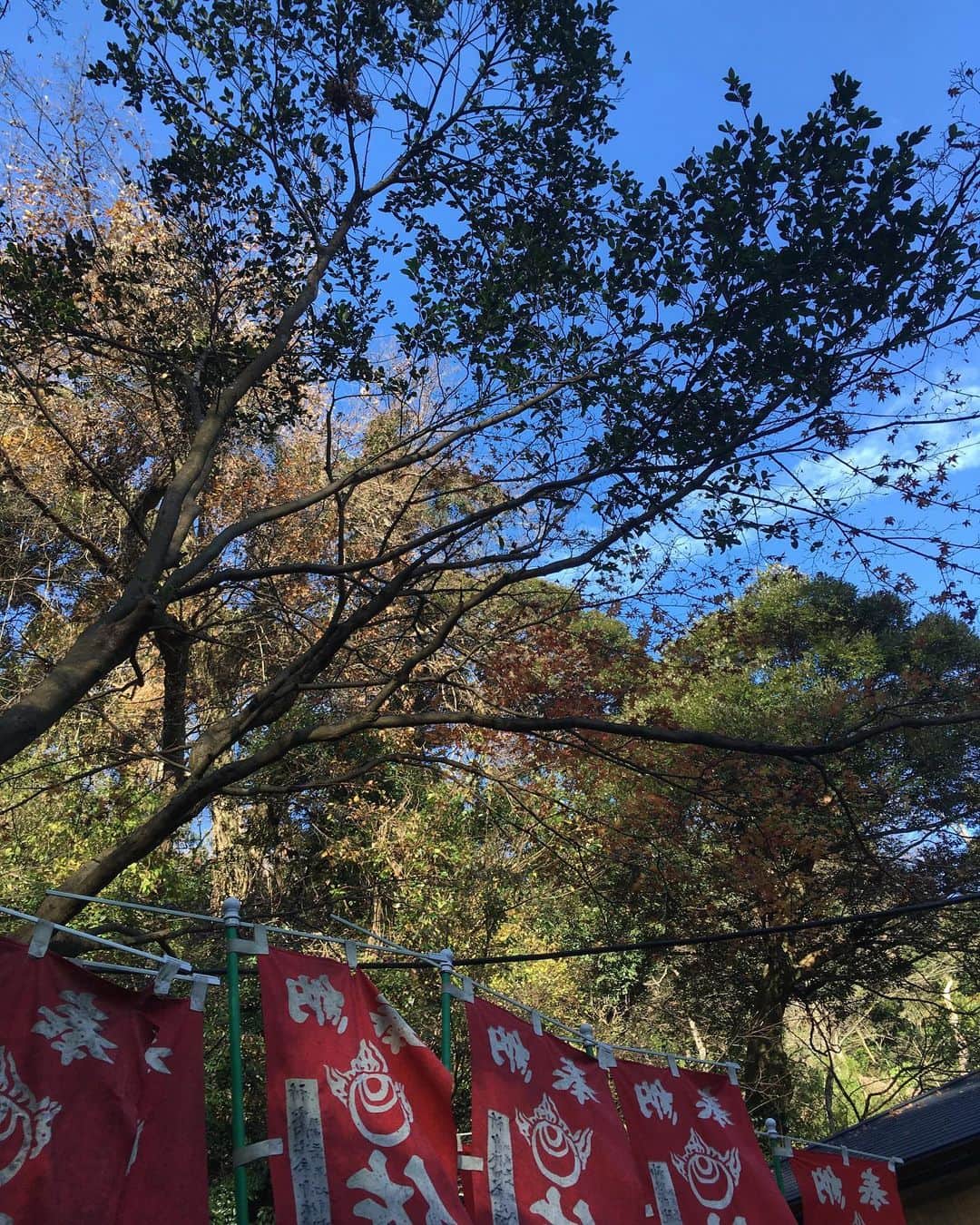 福山理子さんのインスタグラム写真 - (福山理子Instagram)「佐助稲荷神社さま⛩  #2019年12月24日 #佐助稲荷神社」4月21日 23時34分 - rikofukuyama