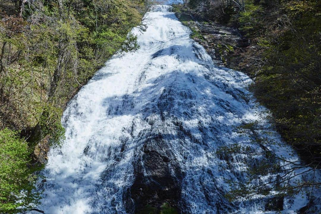 TOBU RAILWAY（東武鉄道）さんのインスタグラム写真 - (TOBU RAILWAY（東武鉄道）Instagram)「. . 🚩Lake Yunoko & Yudaki Falls - Oku Nikko . . [Recommended spots for Oku-Nikko, Lake Yunoko and Yudaki Falls] . Lake Chuzenji and Kegon Falls are popular spots in Oku-Nikko, but Lake Yunoko and Yudaki Falls are also popular, especially among the locals and repeaters. They are both surrounded by rich nature, where you can have a relaxing time. Lake Yunoko has a slight smell of the hot spring water flowing in from Yumoto Onsen nearby. When you travel around Nikko and Oku-Nikko, it is very convenient and affordable if you have NIKKO PASS ALL AREA. . . . . . #nikko #okunikko #tochigi #yunokolake #yudakifalls #travelgram #tobujapantrip #discoverjapan #unknownjapan #jp_gallery #visitjapan #japan_of_insta #art_of_japan #instatravel #japan #instagood #travel_japan #exoloretheworld  #landscape #ig_japan #explorejapan #travelinjapan #beautifuldestinations #nikkopass #nikko_japans」4月22日 10時40分 - tobu_japan_trip