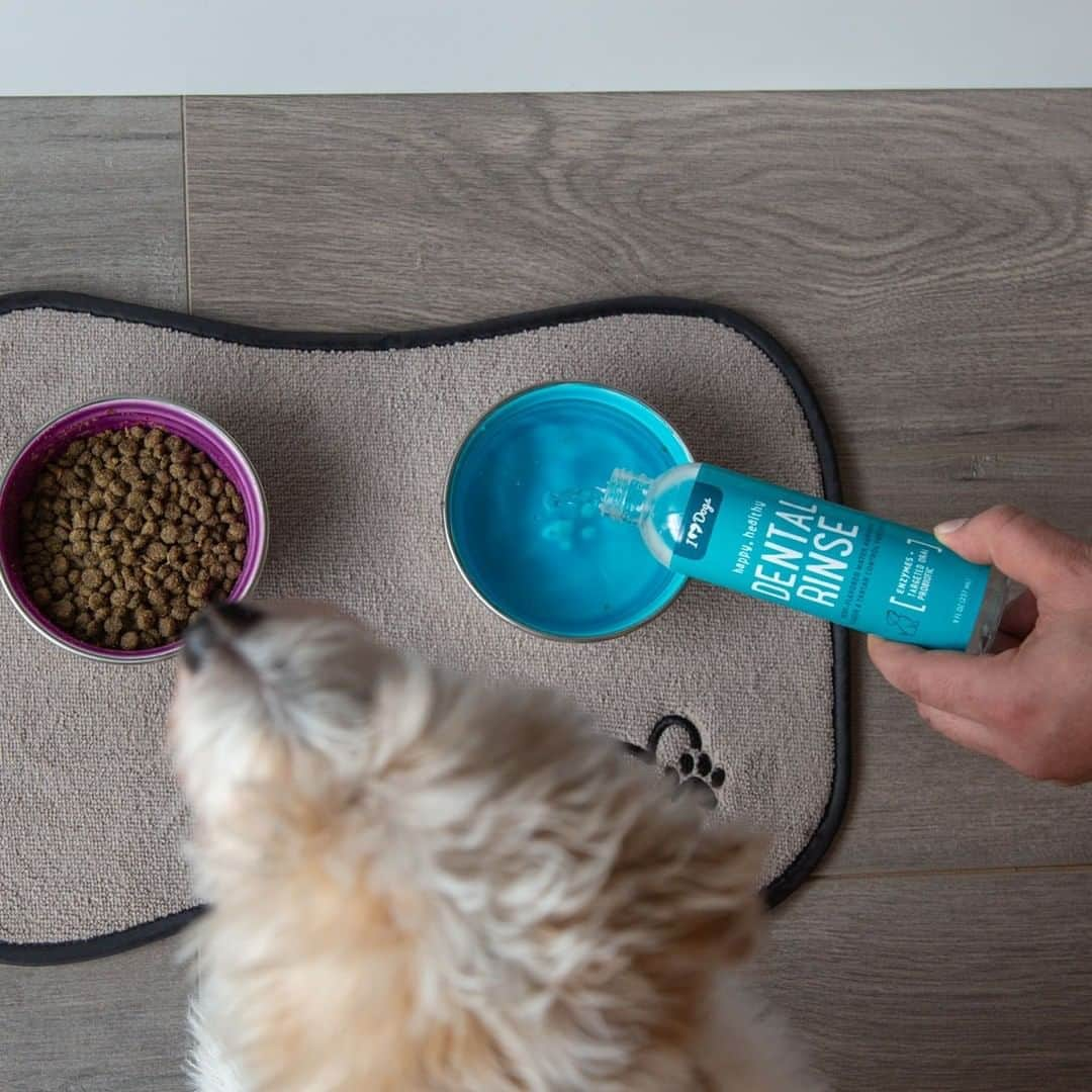 Animalsさんのインスタグラム写真 - (AnimalsInstagram)「👇 An Easy & Cheap Way to Keep Your Dog's Teeth Clean & Breath Fresh  One of the easiest ways to freshen your dog’s stinky breath can also help your pup’s body fight off dangerous periodontal disease causing bacteria – who knew?! Our Happy, Healthy™️ Dental Rinse employs enzymes and targeted oral probiotics to combat the unhealthy that’s bacteria swimming in your pup’s water bowl and making a home in his mouth. Say bye bye to your dog’s bad breath and crusty teeth.  Purchase link in @iheartdogscom bio.」4月22日 2時45分 - iheartanmls