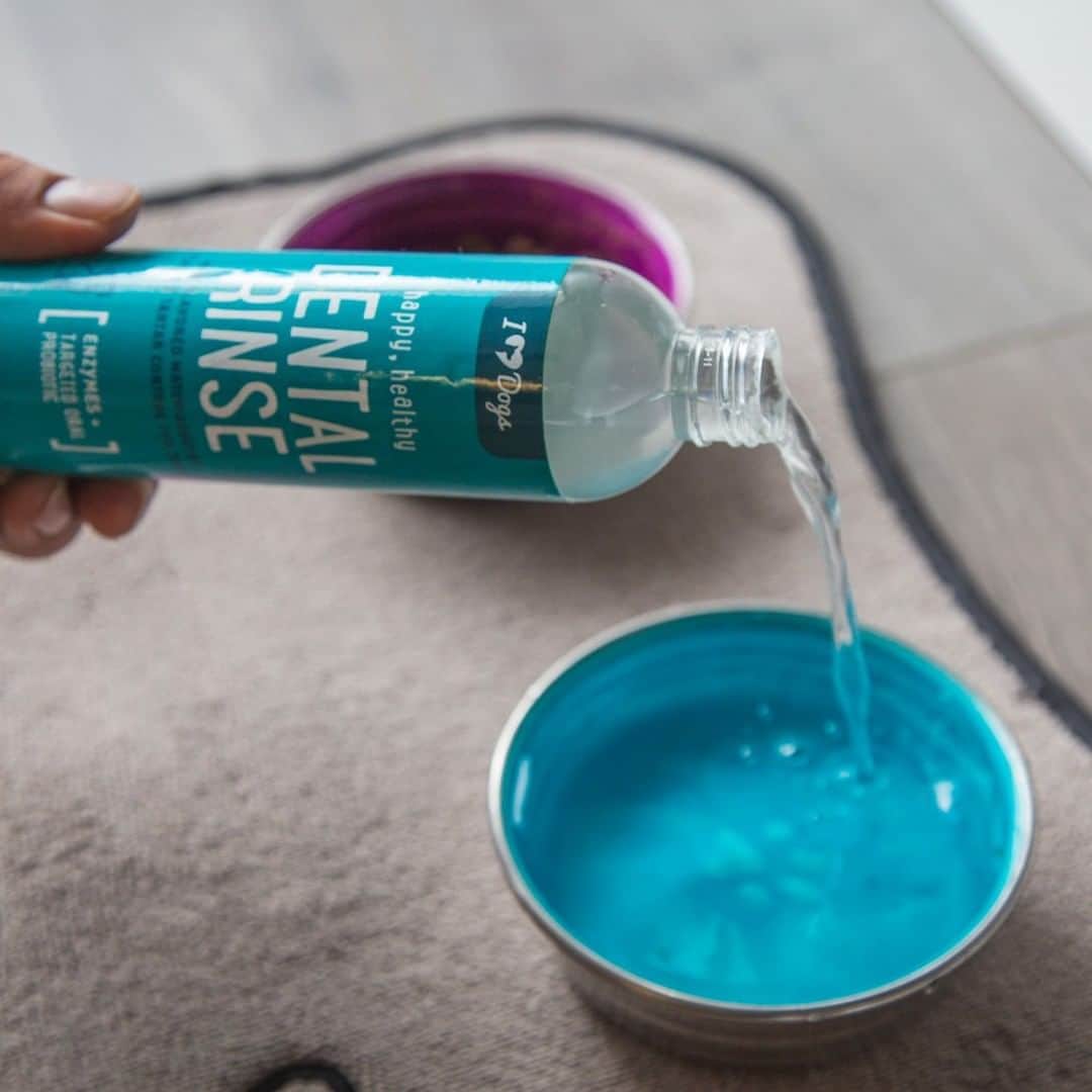 Animalsのインスタグラム：「👇 An Easy & Cheap Way to Keep Your Dog's Teeth Clean & Breath Fresh  One of the easiest ways to freshen your dog’s stinky breath can also help your pup’s body fight off dangerous periodontal disease causing bacteria – who knew?! Our Happy, Healthy™️ Dental Rinse employs enzymes and targeted oral probiotics to combat the unhealthy that’s bacteria swimming in your pup’s water bowl and making a home in his mouth. Say bye bye to your dog’s bad breath and crusty teeth.  Purchase link in @iheartdogscom bio.」