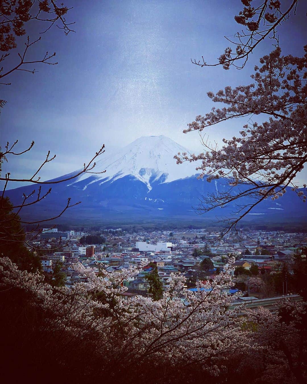 佐藤東弥のインスタグラム：「ここから見る桜と山 来年は見たいですね」