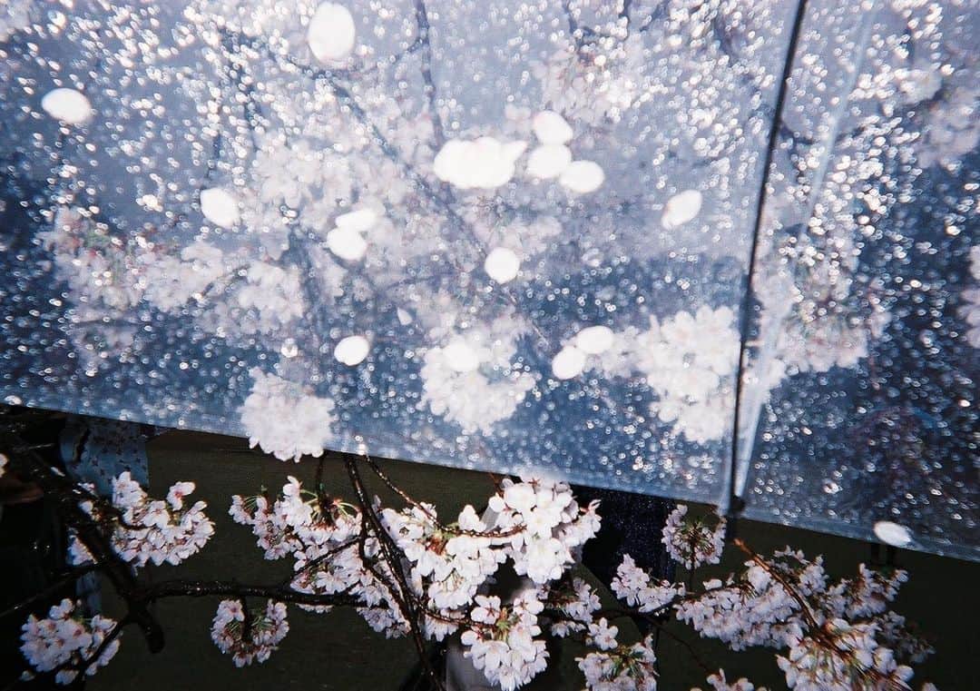 小西桜子さんのインスタグラム写真 - (小西桜子Instagram)4月22日 5時30分 - sakurako_kns