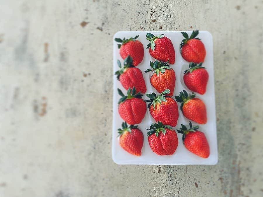 のインスタグラム：「. . 【　無農薬の苺🍓は宝石　】 . . 去年のTobiuで奈良美智さんと岡本仁さんの トークショーを観ていた時に、 後ろに座られていた佐藤さん。 . トーク終わってから、話しかけてくださり 一緒にお写真を撮った。 . 先日、narusobaさんのお取り寄せの ポストした時に、コメントを頂き、 同じ方だと分からず、あれ？知り合いかな？と アカウントを覗かせて頂いたら、 ”無農薬の苺を作ってる”と書いてあり、 なに？！！っとすぐご連絡。 . やり取りさせて頂いたら、 Tobiuの時の、、、と教えてくださり、 あー！ってなって。。 . もーね、無農薬の苺に目がないんですよ。 なかなか手に入らないし、、。 福田は速攻前のめりで送っていただけないか！！！と圧強めで😂。。 . あと少しで出荷できるので、 おおおお待ちくださいね。。と なだめられてしまう始末。 . いやぁ、、無農薬の苺ほど、味や本来の甘さ、 おいしさの違いわかる！！！ . 無農薬の苺は宝だ！と思ってる。 育てるのもとても難しいと聞いた事がある。 . そすて、昨夜、念願の宝石が届く。。 . “はぁぁぁ🍓😭🍓❤️✨”、、、泣く。 奥の芯のところまでちゃんと味してて、 甘くて深くて甘くて軽やか。 . これぞ無農薬の苺... なかなか食べれないので 年に数回ほどしか出会えないから、 朝から今日は4個！って決めてパクッ。 . はぁぁ、、、”口福”という言葉がぴっったり。 食べてしばらくすると舌が小さくシュワシュワ してきて、次の苺を欲しているのがわかる。 . 舌や体や細胞が、この力強いミネラルや ビタミンを奥底から欲してる。 . 本当に無農薬の苺🍓は宝. . “たねびと” 佐藤さんご夫婦. 2014年に北海道の豊浦町に移住されて、 町の臨時職員さんや様々な生産にかかわり、 2015年から無農薬のいちご農家を目指されて、2018年に無農薬の苺を初出荷されたそう。 . G.S.W,grow seed works たねびとでお取り寄せできるかと。。 ご興味のある方はじぇひ。 . 奥さんのりつこさんとのやり取りで 「私達は畑にいる虫を殺しません。 外に逃す程度。北海道の土の力は凄いと。」 . また小さい偶然が重なり、 素敵な出会いを頂けた。 コロナ明けたら、必ず会いにいきます。 . さぁ、苺🍓の季節です。 . #無農薬の苺 #無農薬の苺は宝」