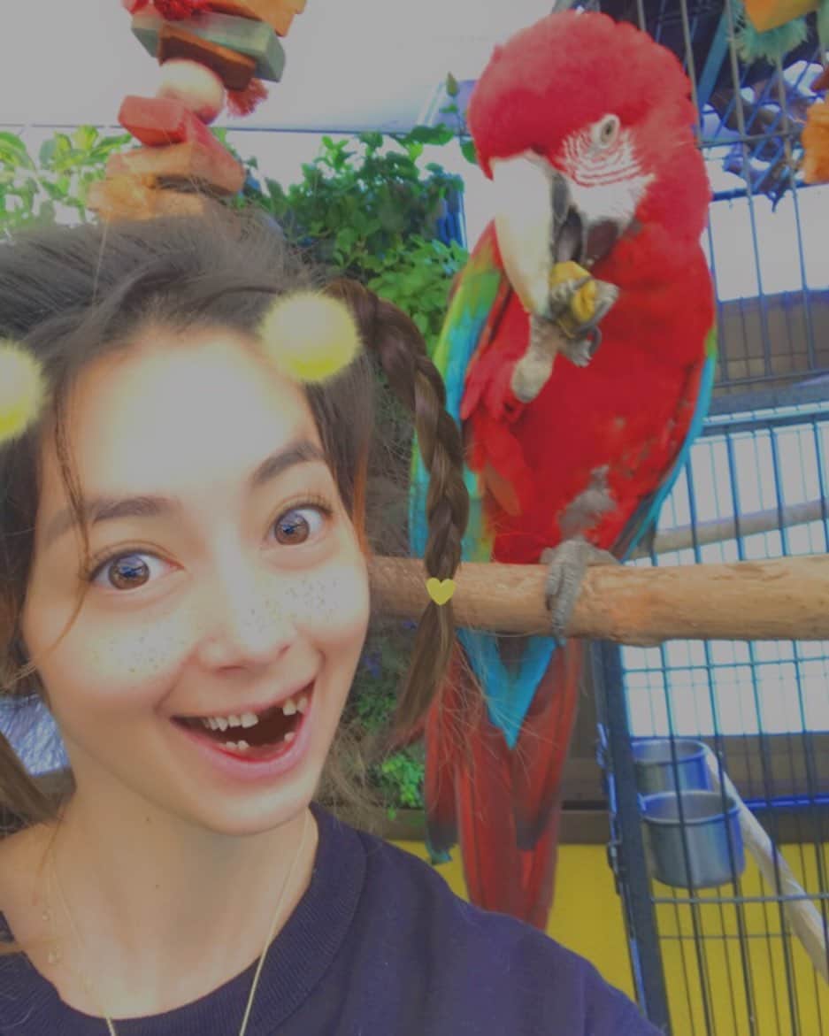 森泉のインスタグラム