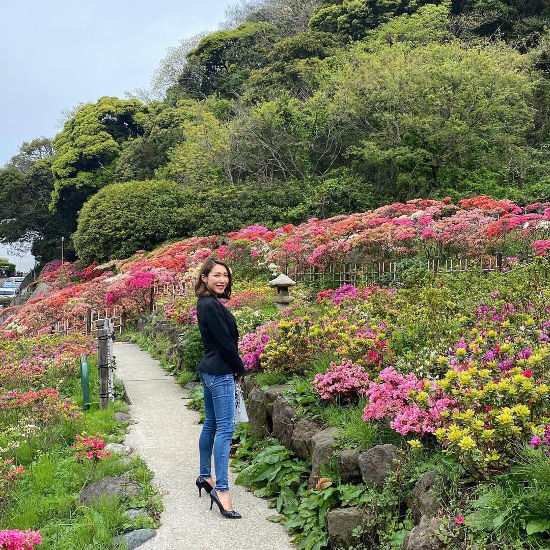 長谷川朋美さんのインスタグラム写真 - (長谷川朋美Instagram)「昨日、#葉山町役場 に寄ったついでに町役場にあるつつじが素晴らしい#花ノ木公園 をしばしお散歩タイム✨ ・ なんて美しいんだろ😭 心が癒される💕 お花や木々など、大好き。 ・ 心がの癒しが今は大事な時期ですね。 ・ #癒し #healing #flowers #つつじ #lifestyle #hayama #葉山 #hayamalife #葉山ライフ #nature #葉山町」4月22日 8時52分 - hasegawa.elena.tomomi
