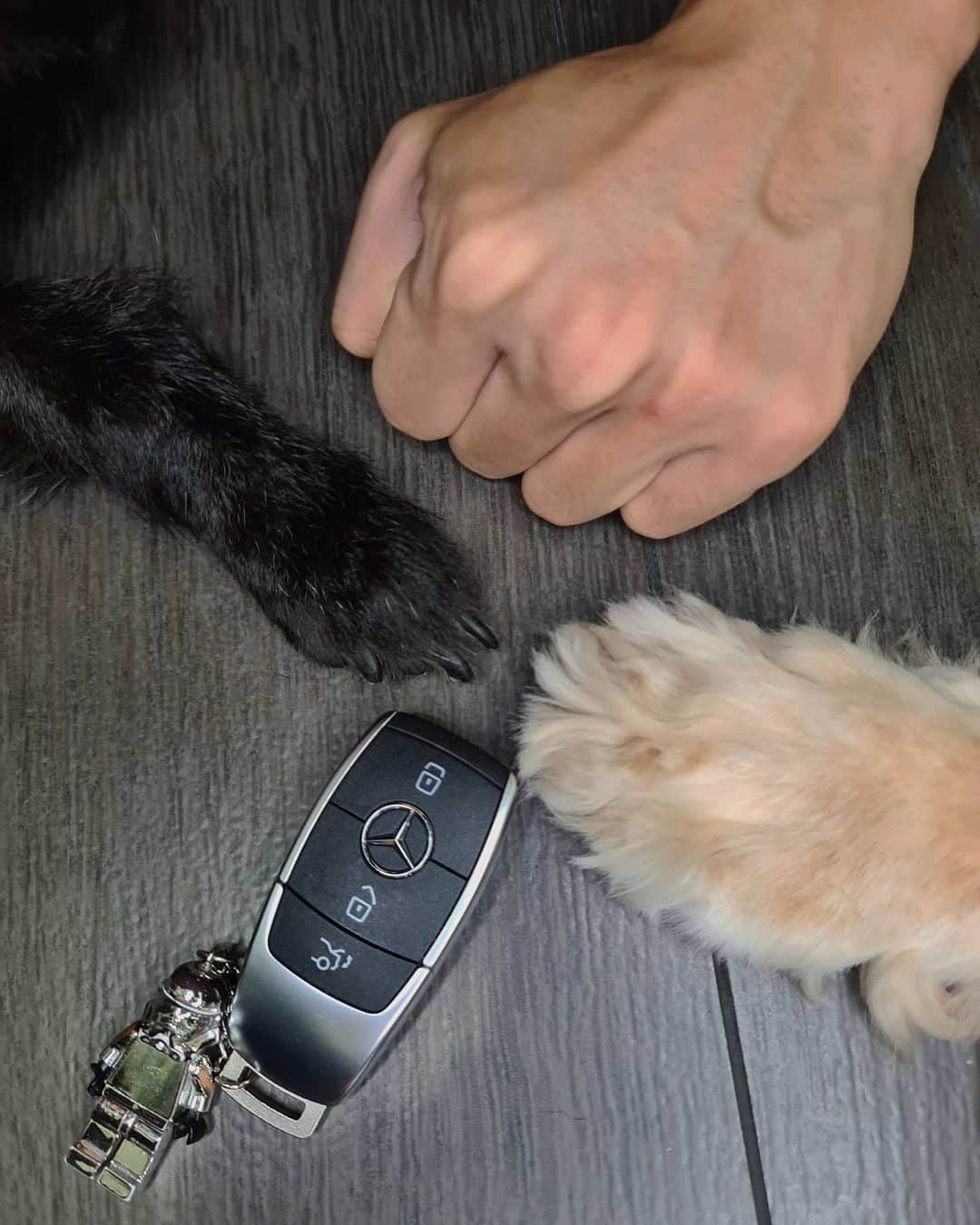 デスモンド・タンのインスタグラム：「Let's stay home. For ourselves. For our loved ones. For our community. We will get through this together!  #KeysAtHome #StayHomeSG #MercedesBenzSG」