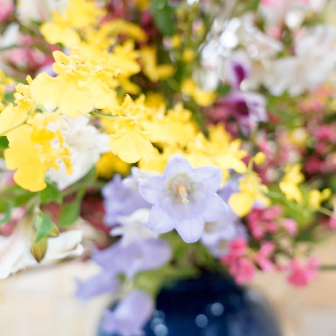 公明党さんのインスタグラム写真 - (公明党Instagram)「﻿ ﻿ 本日、党本部に、﻿ ﻿ 新しい花が届けられました。﻿ ﻿ その中の「アルストロメリア」は、﻿ ﻿ 東日本大震災の被災地、﻿ ﻿ 福島県の飯館村で育てられたもの。﻿ ﻿ ﻿ 公明党は、﻿ ﻿ 急激に消費が落ち込む花卉の消費拡大を促す﻿ ﻿ 農水省の「花いっぱいプロジェクト」に﻿ ﻿ 協力するとともに、﻿ ﻿ 被災地の復興を応援します。﻿ ﻿ ﻿ #花﻿ #花いっぱいプロジェクト﻿ #小さな声を聴く力﻿ #公明党　﻿ #新型コロナ﻿ #コロナに負けるな﻿」4月22日 19時10分 - komei.jp