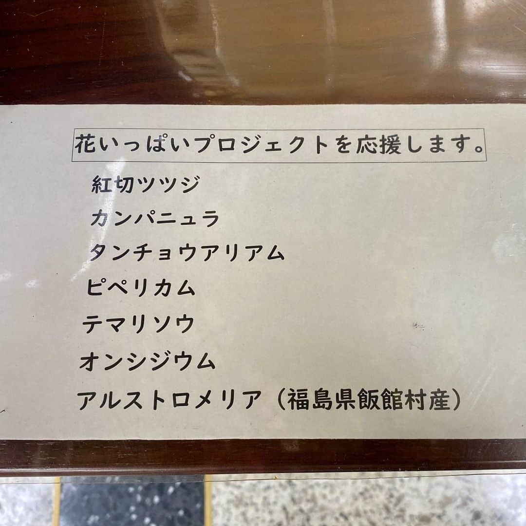 公明党さんのインスタグラム写真 - (公明党Instagram)「﻿ ﻿ 本日、党本部に、﻿ ﻿ 新しい花が届けられました。﻿ ﻿ その中の「アルストロメリア」は、﻿ ﻿ 東日本大震災の被災地、﻿ ﻿ 福島県の飯館村で育てられたもの。﻿ ﻿ ﻿ 公明党は、﻿ ﻿ 急激に消費が落ち込む花卉の消費拡大を促す﻿ ﻿ 農水省の「花いっぱいプロジェクト」に﻿ ﻿ 協力するとともに、﻿ ﻿ 被災地の復興を応援します。﻿ ﻿ ﻿ #花﻿ #花いっぱいプロジェクト﻿ #小さな声を聴く力﻿ #公明党　﻿ #新型コロナ﻿ #コロナに負けるな﻿」4月22日 19時10分 - komei.jp