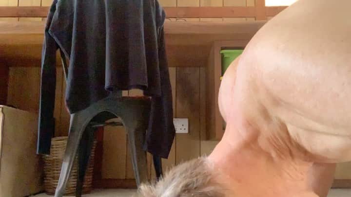 ブライアン・アダムスのインスタグラム：「Trying to do morning yoga while being attacked by Peaches the potcake #downdog #dogyoga #isolation #potcake」