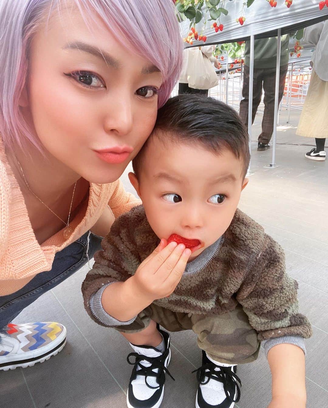 Nazukiのインスタグラム：「🍓 𝕊𝕥𝕣𝕒𝕨𝕓𝕖𝕣𝕣𝕪 𝕡𝕚𝕔𝕜𝕚𝕟𝕘 🍓  3月にいちご狩り行きました 🍓🍓🍓🍓🍓🍓🍓🍓🍓🍓 レンの大好きな🍓 毎日1パック食べる😭  親子で楽しめるし美味しいし 行けてよかったな💕  またお出かけできる日が早く来ますように✨✨✨✨ #strawberry #strwaberrypicking  #myson #babyboy #kids #Parentandchild #男の子ママ #シンママ　#mamalife #いちご狩り」