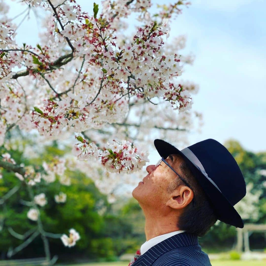 小沢仁志さんのインスタグラム写真 - (小沢仁志Instagram)「前に撮った写真だが  来年はこうありたいと 桜に想いを託して…  たまには料理以外の写真をな❗️笑」4月22日 11時27分 - ozawa_hitoshi