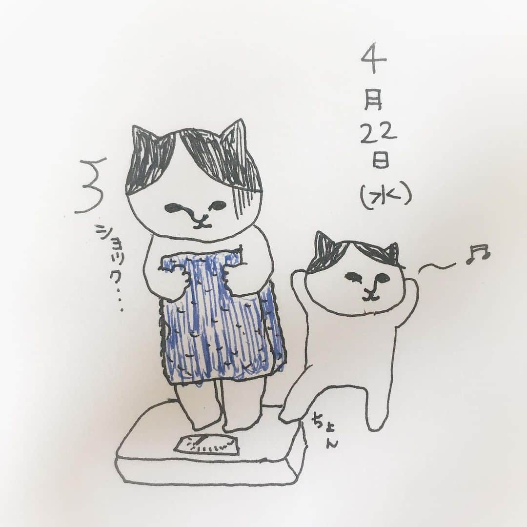 ねこのインスタグラム