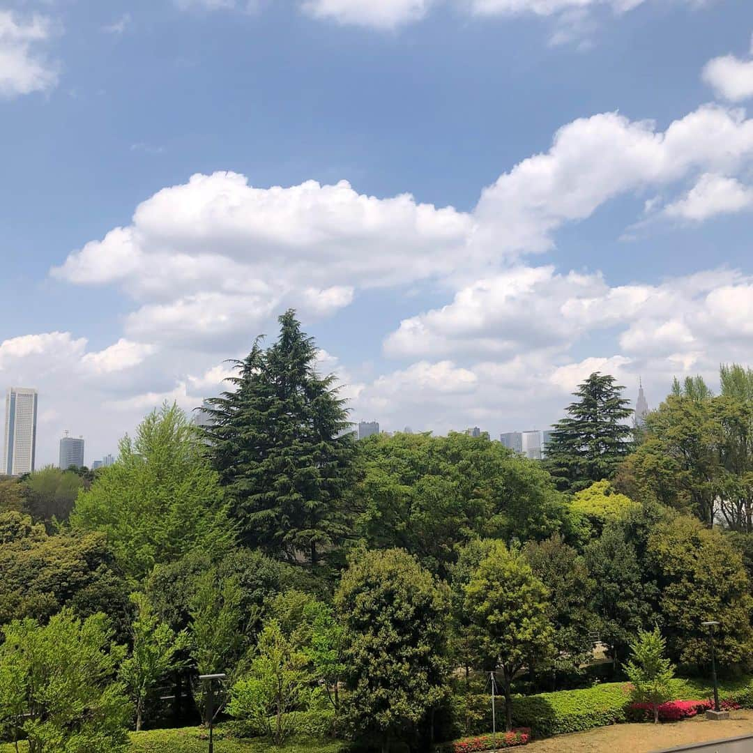 川坂勇太さんのインスタグラム写真 - (川坂勇太Instagram)「柔らかな空の色と白い雲、それに新緑の緑とメリハリがあって初夏の雰囲気が出てきた。 #降るのか降らないのか  #いまそら  #東京 #春 #初夏  #tokyo #sky」4月22日 12時02分 - yutakawasaka