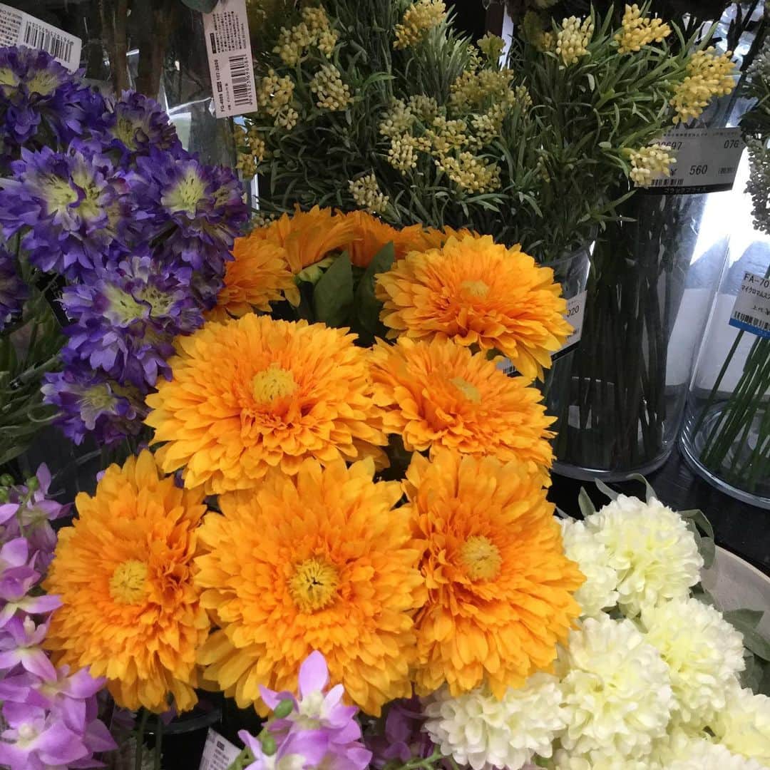横浜ディスプレイミュージアムさんのインスタグラム写真 - (横浜ディスプレイミュージアムInstagram)「🌻ひまわりシリーズ🌻 夏といえばこのお花！明るく元気なイメージだけではなく、「あなただけを見つめているよ」「いつもそばにいるよ」など素敵な花言葉のあるお花です🌻 ポピーオリジナル商品は様々な品種を取り揃えております！ なんと185㎝のジャンボひまわりもラインナップ！！ ①FS-8294 Y・OR フレッシュサンフラワー¥680 ②FS-8256 Y・L/Y サテンヒマワリ×3¥580 ③FS-8296 Y ナチュラルサンフラワー¥980 ④FS-8299 Y・OR レアードサンフラワー¥680 ⑤FS-8295Y・ORサンフラワーバッド¥680 ⑥FS-8164A Y ジャンボシングルヒマワリ ¥3800 （すべて税抜き価格ブループライスです） ＊ 業務会員様はWEBオーダー、FAX注文をご利用いただけます。 横浜ディスプレイミュージアムHP内『ウェブオーダーシステム』からどうぞ！ ※新規で業務会員登録をご希望のお客様は、HP内『法人向け会員制度について』からお申し込みを承っております。 ＊ ＊ #おうち時間 #こんな時こそ花を  #横浜ディスプレイミュージアム #株式会社ポピー #横浜 #ディスプレイ#アーティフィシャルフラワー #フラワーアレンジメント #フラワーデザイン #インテリア雑貨 #インテリア#インテリアコーディネート#スタイリスト#装飾#デコレーション #花のある暮らし #花好きな人と繋がりたい #display #yokohama #flowerarrangement #interiordesign #artficialflower #flowerstagram #ひまわり#ひまわり花言葉#summer#sunflower」4月22日 12時14分 - yokohamadisplaymuseum