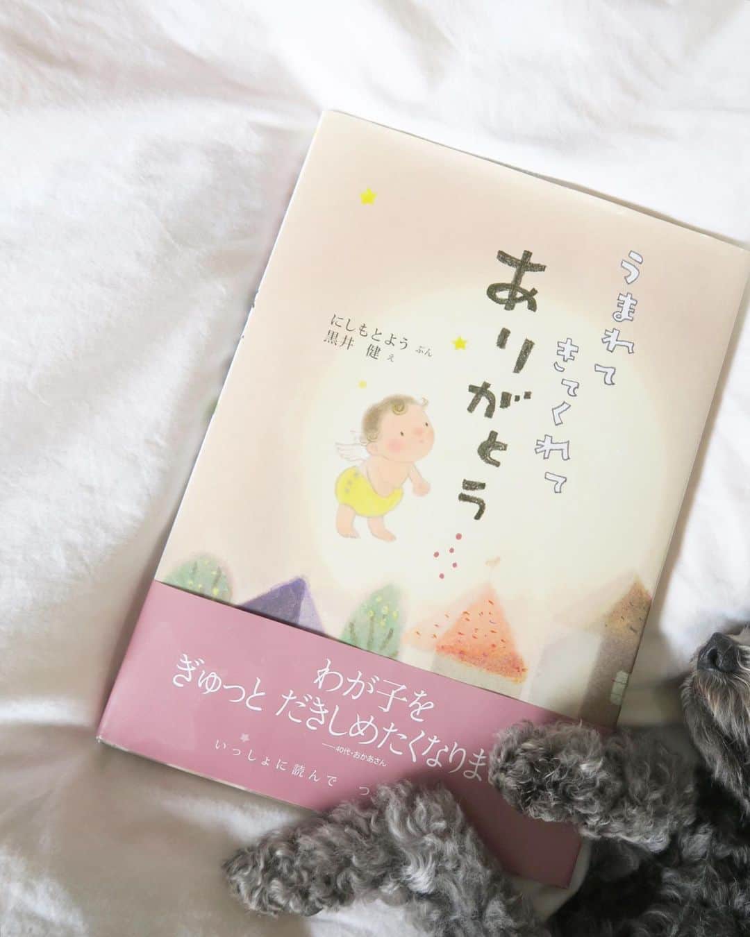 Mai Wakimizuさんのインスタグラム写真 - (Mai WakimizuInstagram)「妊娠が分かってすぐの頃に、真加 @shinkalinkableがプレゼントしてくれたのがこの絵本♡産まれる前の赤ちゃんがお母さんを見つけてお腹に入るまでの物語。 "ママをさがしているの。かみさまがね「うまれていいよ」って。だからママをさがしているの。" 1ページ目から温かい気持ちになれる絵本、"うまれてきてくれてありがとう"私にとってお守りのようなものです♡ #うまれてきてくれてありがとう#にしもとよう#絵本#マタニティ#マタニティライフ」4月22日 12時44分 - wakkin__m