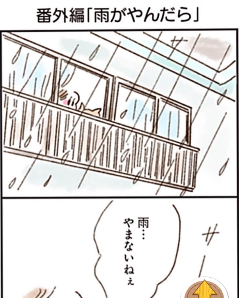 やまもとりえのインスタグラム：「‪「ねこでよければ」‬ ‪今回は、おうちでまったりな番外編‬ ‪「雨がやんだら」 （ストーリーかハイライトから読みに行けます）‬ ‪http://comip.jp/nekoyoko/mangas/34‬ ‪雨がやんだら、私はチーズケーキを食べに行きたい‬」