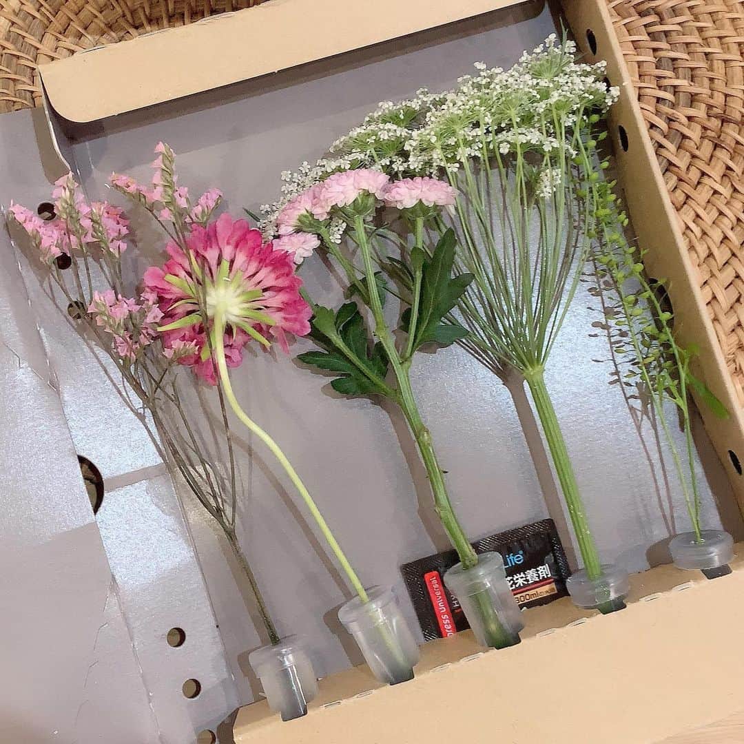 新垣泉子さんのインスタグラム写真 - (新垣泉子Instagram)「ポストにお花が届きました☆  暗くなりがちなおうち時間。 『少しでも気持ちを明るくしたい！』と、 お花を飾ることにしました☆  でも、外出自粛の中、なかなかお花屋さんにも行けないし、、、と思っていた時、便利なアプリを見つけました！ ＂FLOWER＂というアプリ。  プロが選んだお花を、専用BOXに入れて、ポストに直接お届けしてくれるというもの。  お花をポストに？どうやって？潰れたりとか、枯れちゃわないのかな？と思ったけど、 届いた時、なるほど！こういうことか！と納得！！！ 可愛くって、毎日愛でています(o^^o)  小さな幸せをちょっとずつ☆  私のおススメです(^-^) #ポストに届くお花 #FLOWER #初回無料　#送料のみ #招待コード #J68K #チケット1枚プレゼント　 #だそうなので良かったら(^^) #お花アプリ #おうち時間　#stayhome  #お花のある生活 #ポストに投函 #ちなみにこの花器もアプリで頼みました #プロが選んだお花だから適当に生けても良い感じに #乗り越えよう新型コロナ #tnc #アナウンサー」4月22日 13時16分 - motoko.arakaki