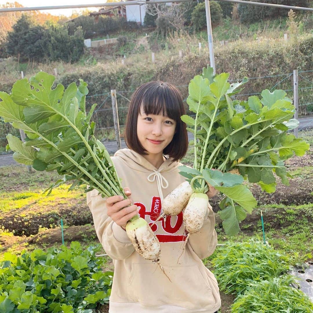 坂田莉咲のインスタグラム：「「ころっ娘」っていう品種のダイコンです🥑🥦🥕12月の写真 　#農業　#農業女子　#ダイコン #youtube」