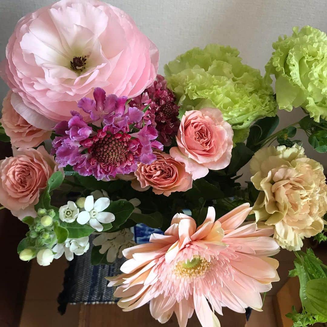 小谷あゆみのインスタグラム：「今日のお花 なんと０円。 今朝、ゴミ捨て場に捨てられていた。 見ると枯れても傷んでもない。 なのでラッピングから花だけ抜いて拾ってきた。 ゴミ捨て場からものを拾うのは若干気が引ける。工事現場のおじちゃんに一部始終見られてた気もするけどここはひとつ知らんぷりで堂々と持ち帰った。 きれいに洗って活けるとますます生き返った。 昨日はベランダ大掃除で、しょぼくれていたアイビーを株分けして掃除して植え替えて、キッチン、トイレ、お風呂、寝室の4カ所に飾って眺め、小さな観葉植物があるだけで部屋が生き生きするもんだなあ、放置されていたアイビーの救済活動にもなったなあとちょっとスッキリした気分になってて、 それで今朝の花束だったから、植物の天使からの贈り物だと思った。これがほんまの花キューピット⁉︎ ゴミ捨て場の花束。あると思います\(//∇//)\」