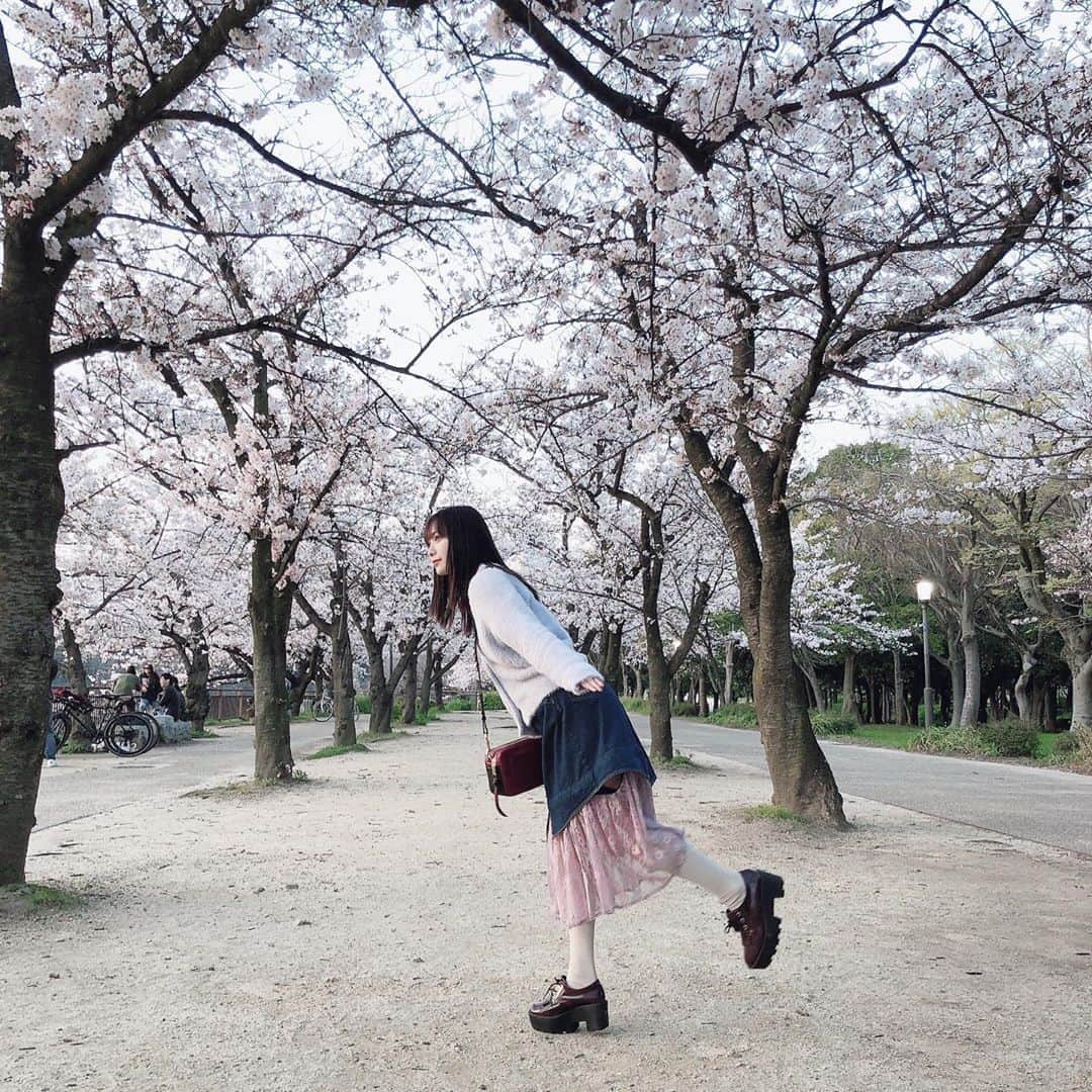 梅山恋和さんのインスタグラム写真 - (梅山恋和Instagram)「#557  #桜#🌸 #黄昏　 #デート#気分 #良き #❤️ #おもち映え」4月22日 20時12分 - cocona_umeyama