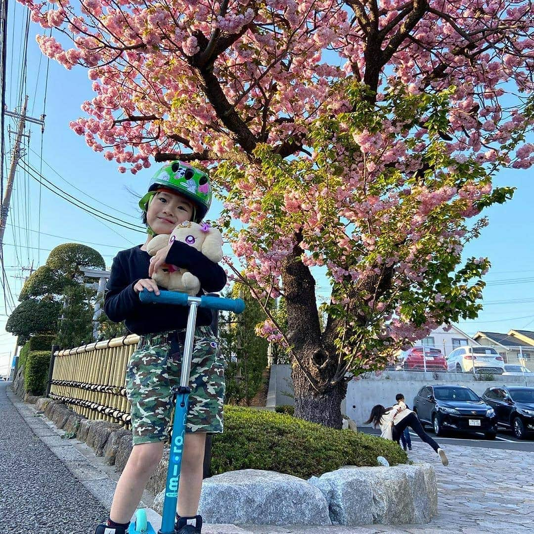 microscooters_japanのインスタグラム